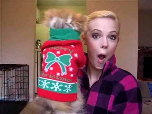 How to Put a Fluffy Dog in a Christmas Sweater