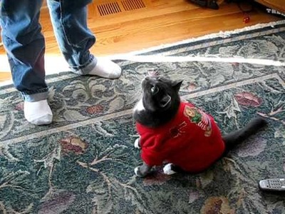 Oscar the cat Christmas Sweater
