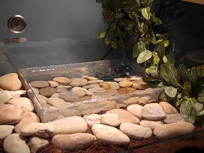 Ball python cage setup (very cool)