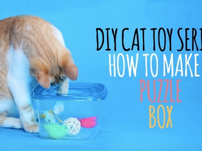 DIY Cat Toys - How to Make a Puzzle Box