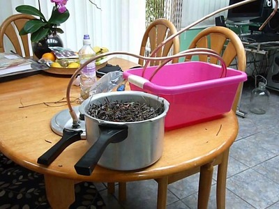 How to make a still. distiller to extract any essential oils from plants. Lavender oil shown.