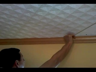 Styrofoam 20x20 Ceiling Tiles Installation Instructions from Euro-Deco Part 1