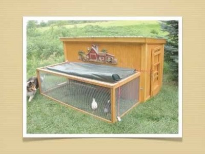 Free Simple Chicken Coop Plans: Learn How To Easily Design and Build One Yourself