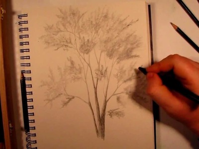 How to Draw a Realistic Tree