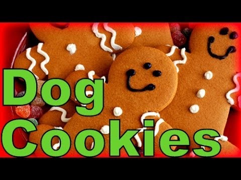 How to Make Gingerbread Dog Cookies Christmas Treats |  Snacks with the Snow Dogs 6