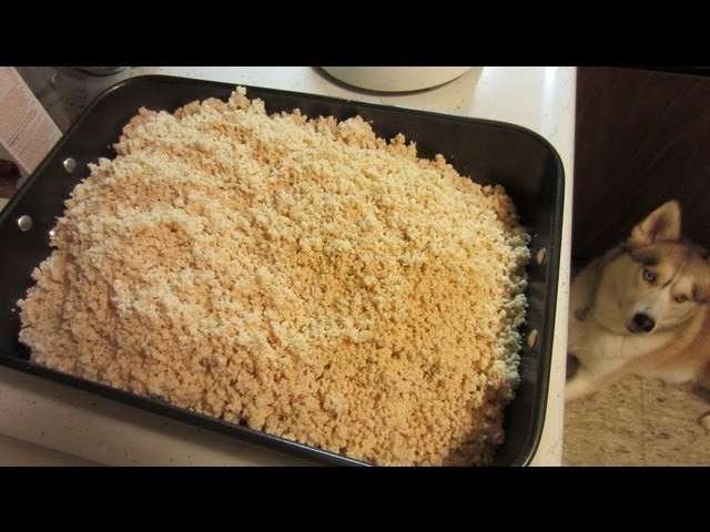 How to Make Shiloh's Homemade Dog Food for Siberian Husky | Snacks with the Snow Dogs 11