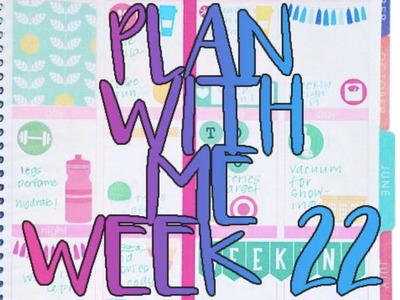 Plan With Me: Week 22