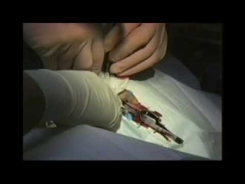 Close Encounters-Proof of Alien Contact 2of 5