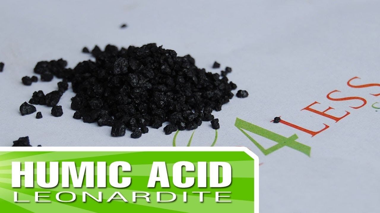 How to make your own Humic Acid Fertilizer
