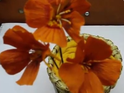 Paper Flower - Nasturtium