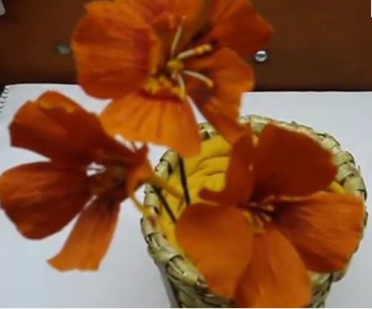 Paper Flower - Nasturtium