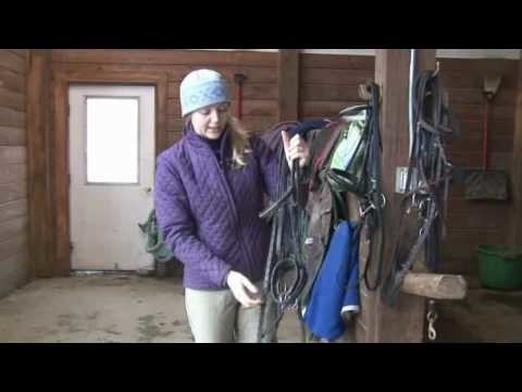 Show Horse Bridles