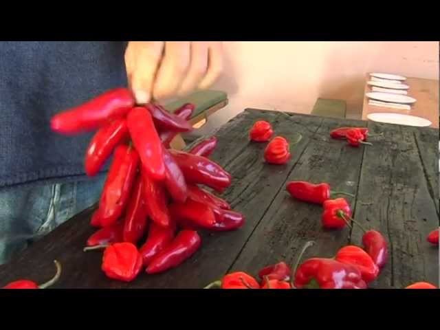 How to dry and string chillies