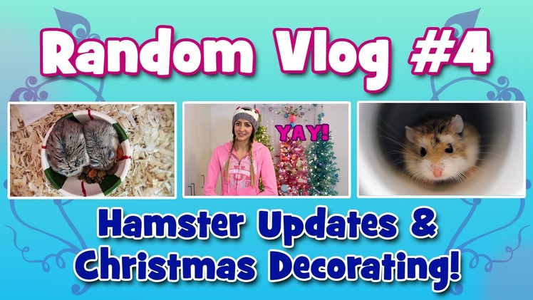 VLOG #4 - Hamster Updates & Christmas Decorating!