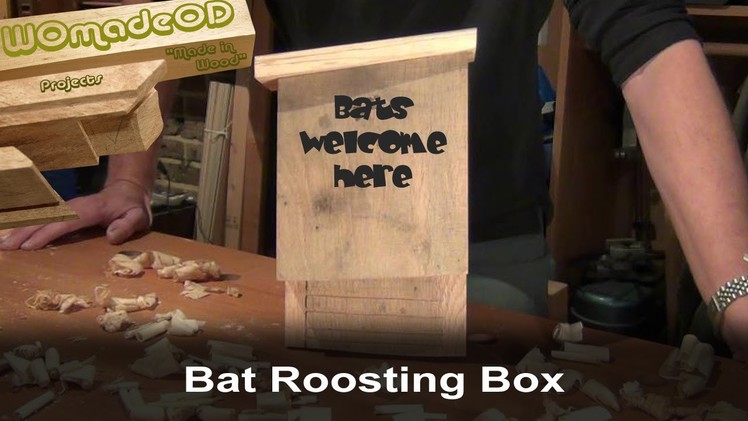 Build a Bat Box with Hand Tools