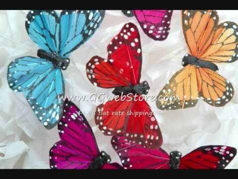 Butterfly World: Butterflies For All Occasions