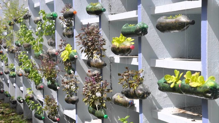 The hanging garden project - American School of Recife