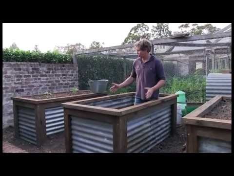 Chris Francis presents a method of constructing a group of raised vegie beds.