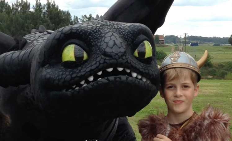 The Real Toothless, How To Train Your Dragon 2 toys and TV show