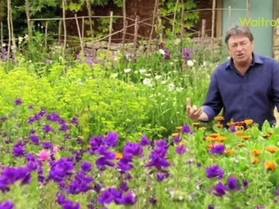How to create a cottage garden - Waitrose Garden