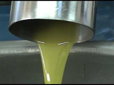 How to make Extra Virgin Olive Oil