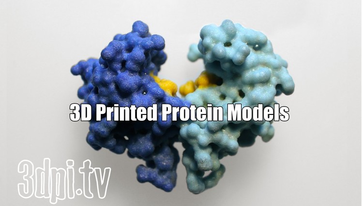 Understanding Diabetes with 3D Printed Protein Models