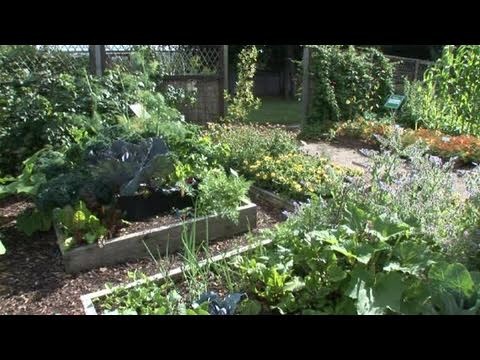 How To Plant Vegetables At Your Garden