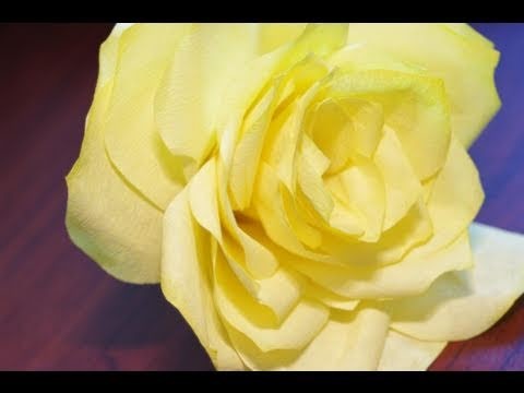 Watercolor Coffee Filter Paper Roses Instructional Tutorial