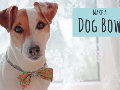 How to Make a Dog Bow Tie