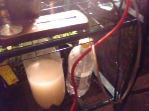 Part 2 how to make a co2 generator for growing plants