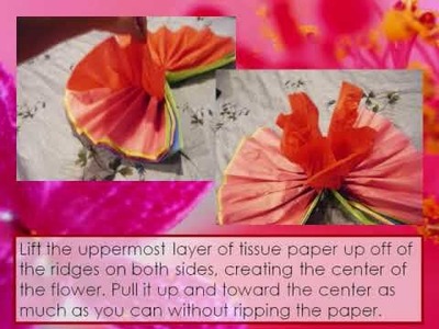 How to Make a Tissue Paper Flower