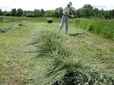 How to Make Hay with a Scythe