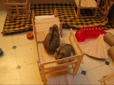 Homemade Hamster Playpen + Toys!