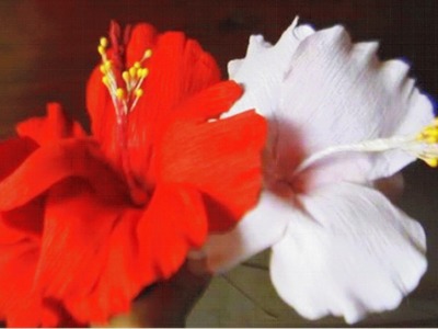 How to make paper flower - Hibiscus