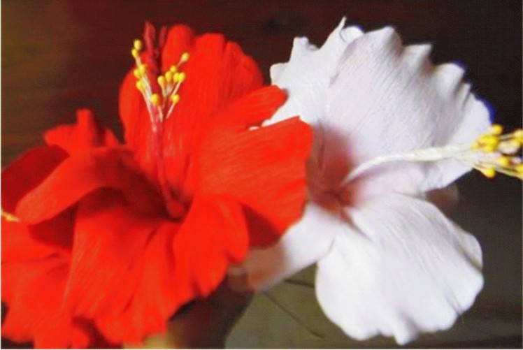How to make paper flower - Hibiscus