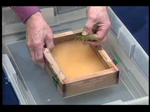 How To Make Paper: Surface Embedment