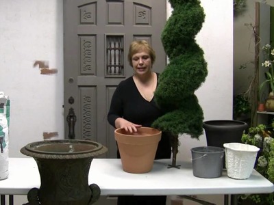 How To Pot A Spiral Topiary For Outdoor Or Indoor Use