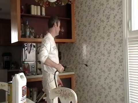 Removing Wallpaper the Easiest and Fastest Way before Painting Part 1