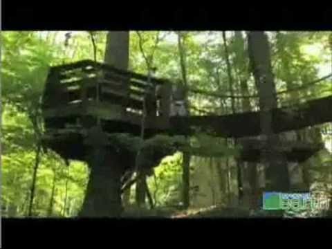 TreeHouse - Best way of Living