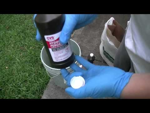 DR: how-to bleach a skull w. hydrogen peroxide and preserve it