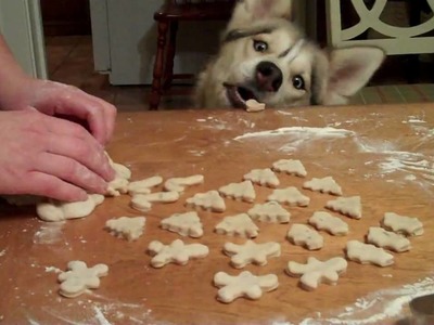 HOMEMADE CHRISTMAS DOG COOKIES with Shiloh and Shelby | Snacks with the Snow Dogs 1
