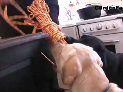 Homemade Dog Toy, how to make it : GardenFork.TV