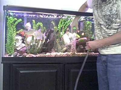 Cleaning fish tank using an Auto Gravel Cleaner