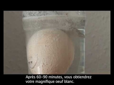 Decoration-Egg Whitening