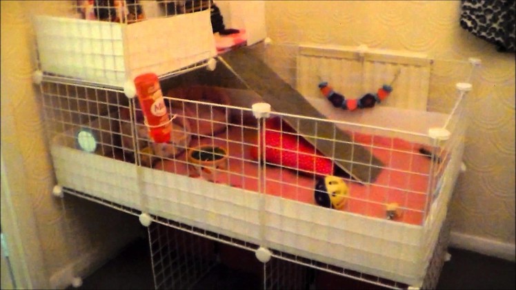 How i built Guinea Pig 2x3 C&C cage with stand and loft
