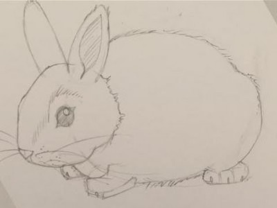 How To Draw A Baby Bunny