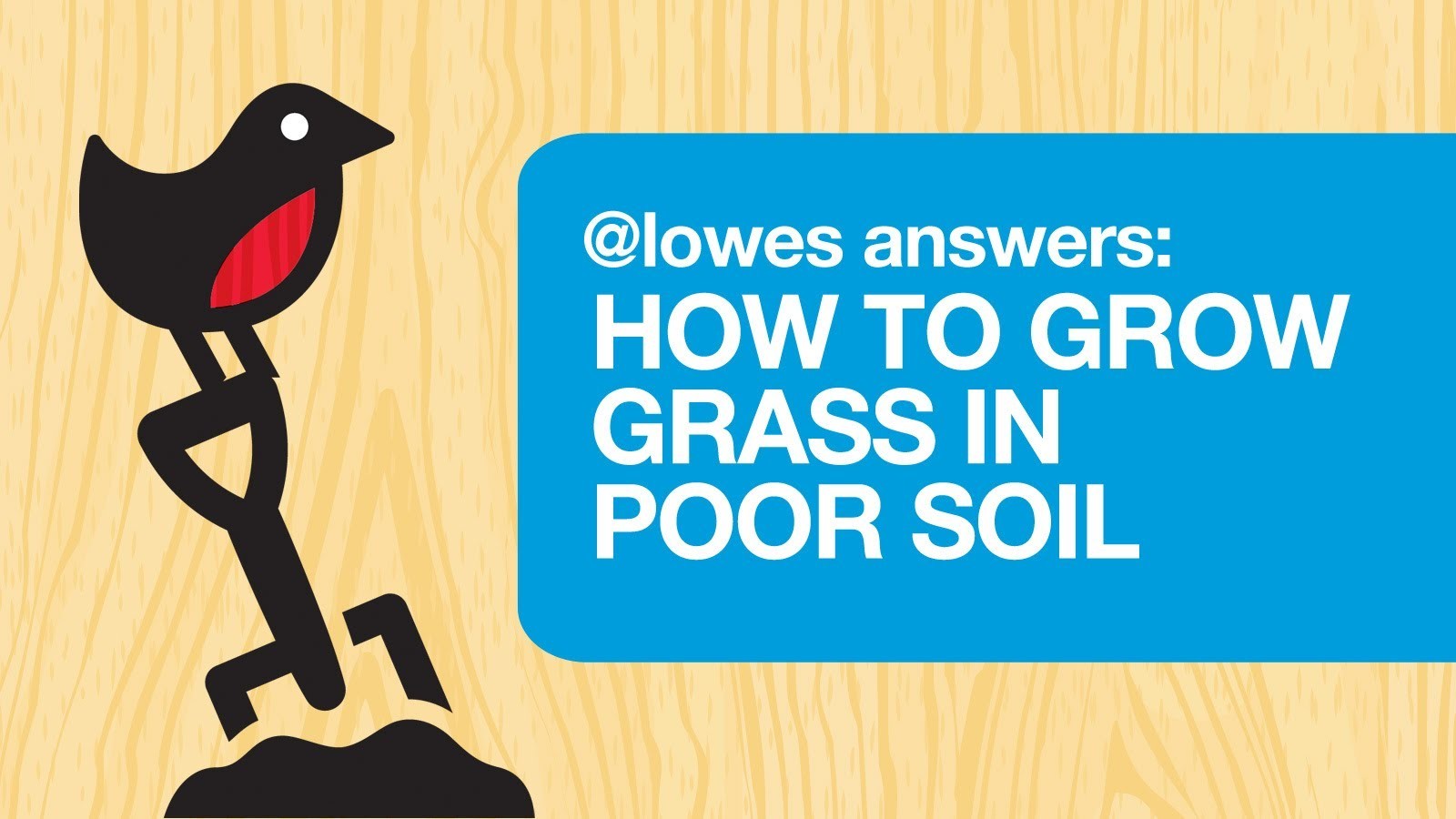 How To Grow Grass In Poor Soil