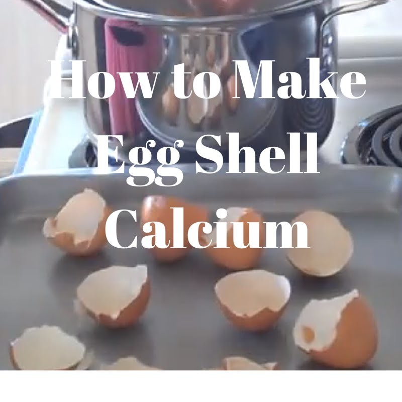 egg shell experiment calcium