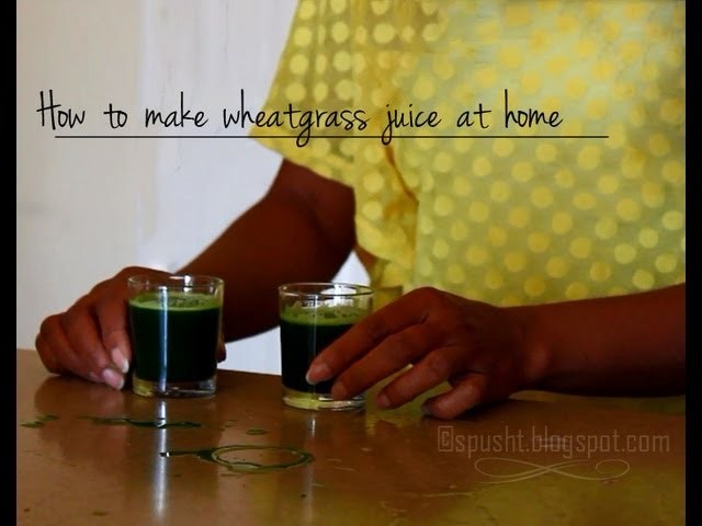 How to make wheatgrass juice at home