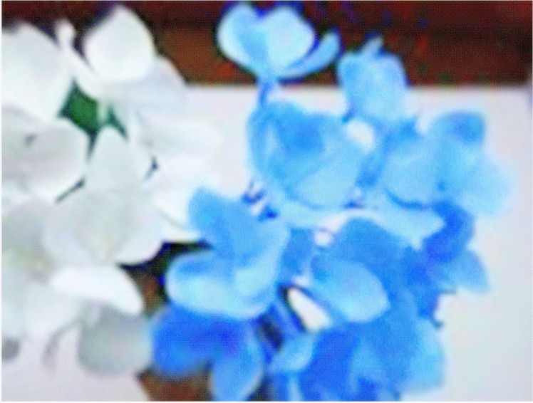 Paper Flower - Hydrangea